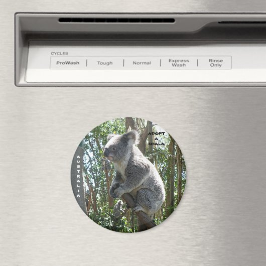 Magneet Adopteer een Koala Australia ZIZZAGO (Insitu (Vaatwasser))
