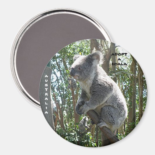 Magneet Adopteer een Koala Australia ZIZZAGO (Voorkant / Achterkant)