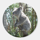 Magneet Adopteer een Koala Australia ZIZZAGO (Voorkant)