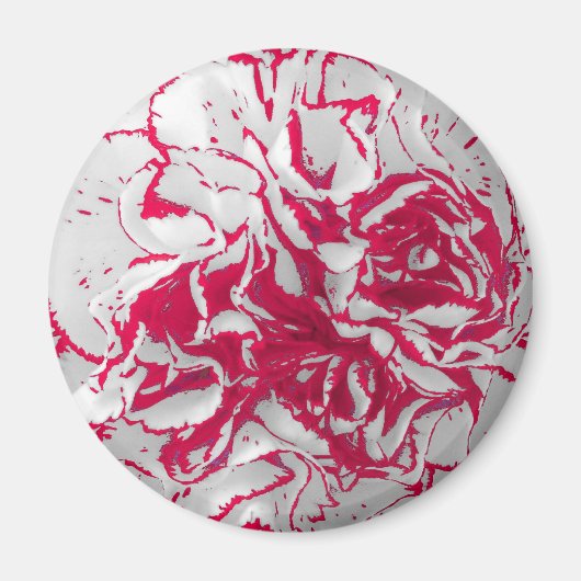 Magneet - Anjer in Rood & Wit (Voorkant)