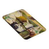 Magneet  Antiek Leuke kittens Katten Rivierkreeft (Rechterzijde)