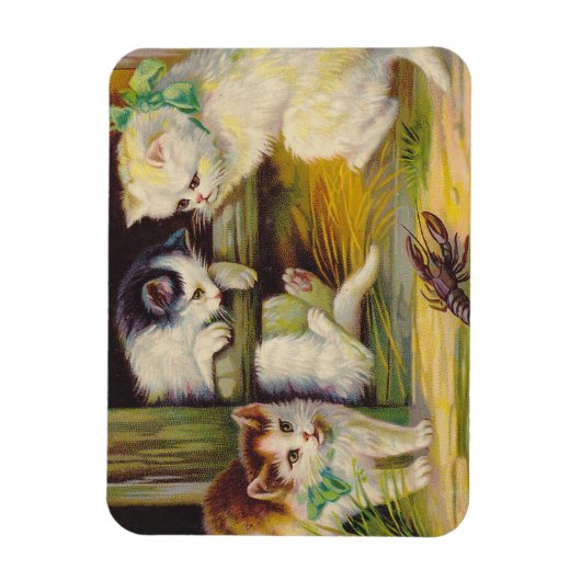 Magneet  Antiek Leuke kittens Katten Rivierkreeft (Verticaal)