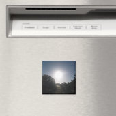 MAGNEET ART&DESIGN DECORATIE (Insitu (Vaatwasser))