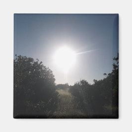 MAGNEET ART&DESIGN DECORATIE