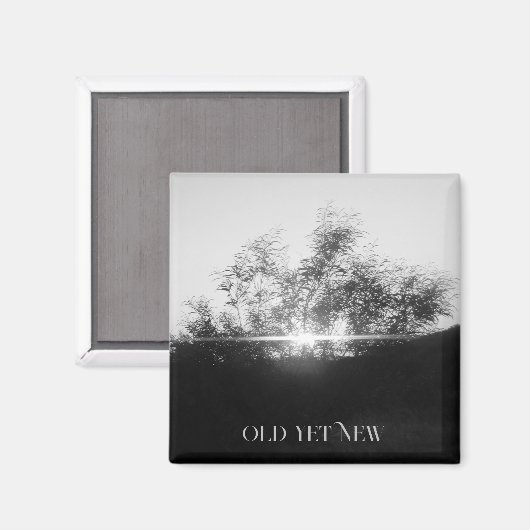 MAGNEET ART&DESIGN DECORATIE (Voorkant / Achterkant)