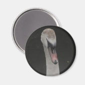Magneet Baby Zwanen Gezicht (Voorkant / Achterkant)