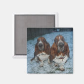 Magneet Basset Hound Brothers (Voorkant / Achterkant)