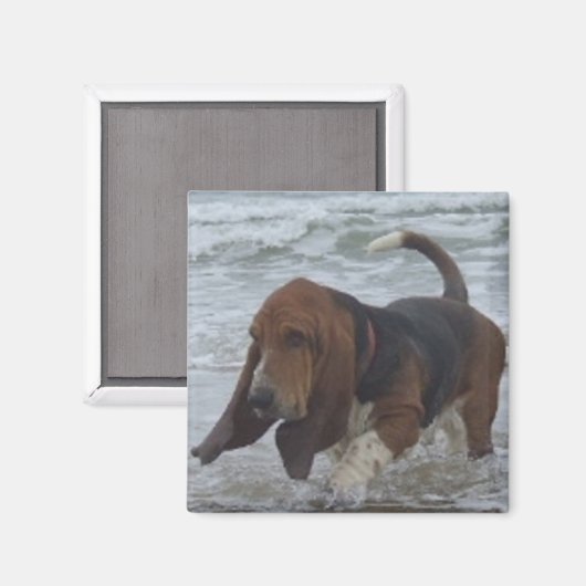 Magneet Basset Hound door het Zee (Voorkant / Achterkant)