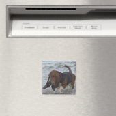 Magneet Basset Hound door het Zee (Insitu (Vaatwasser))
