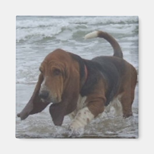 Magneet Basset Hound door het Zee (Voorkant)