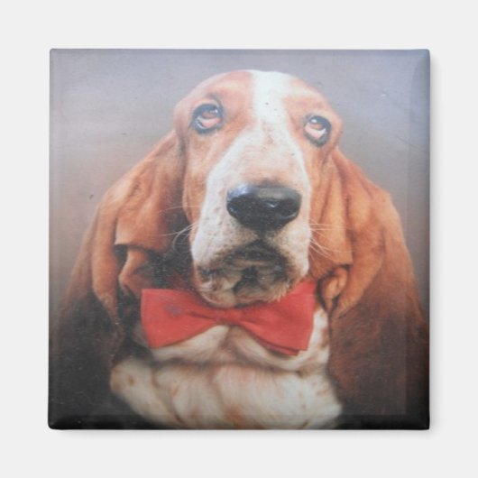 Magneet Basset Hound Rode Vlinderdas (Voorkant)