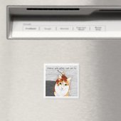 magneet: Behandelingen voor hobbes Magneet (Insitu (Vaatwasser))