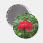 Magneet/bidsprinkhaan Magneet (Voorkant / Achterkant)