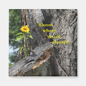 Magneet - bloei waar je geplant bent (Voorkant)