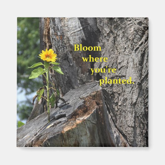 Magneet - bloei waar je geplant bent (Voorkant)