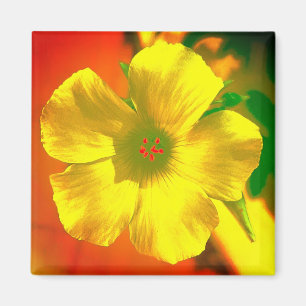 Magneet BLOEM STIJL EN ONTWERP DECORATIE