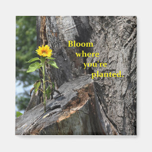 magneet - bloem waar je bent geplant