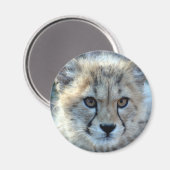Magneet-cheetah-cub10x10 Magneet (Voorkant / Achterkant)