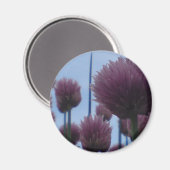 Magneet - Chives Afbeelding 1 (Voorkant / Achterkant)