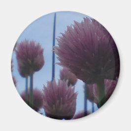 Magneet - Chives Afbeelding 1