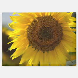 Magneet - Close-up van mooie gele zonnebloem