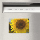 Magneet - Close-up van mooie gele zonnebloem (Insitu (Vaatwasser))