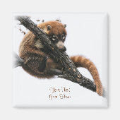 Magneet: Coatimundi #5 (vierkant) Magneet (Voorkant)