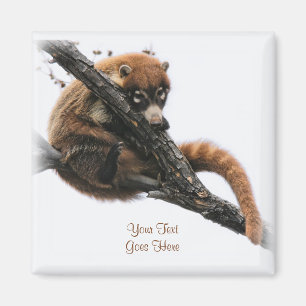 Magneet: Coatimundi #5 (vierkant) Magneet