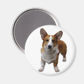 MAGNEET: Corgie Dog Magneet (Voorkant / Achterkant)