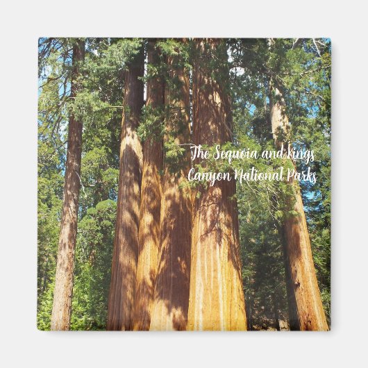 Magneet De Sequoia en Kings Canyon National Parks (Voorkant)