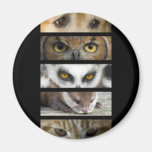 Magneet - Dieren Ogen (Voorkant)
