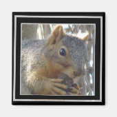 Magneet - Eekhoorn in zwart Lijst (Voorkant)