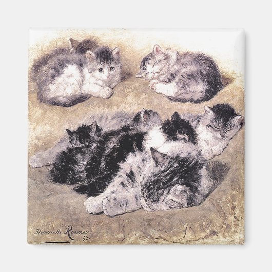 Magneet: Een studie van katten Magneet (Voorkant)