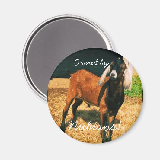 Magneet - Eigendom van Nubians! (Voorkant / Achterkant)