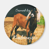 Magneet - Eigendom van Nubians! (Voorkant)