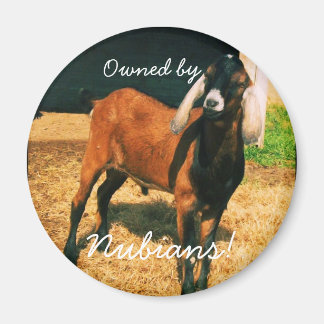 Magneet - Eigendom van Nubians!