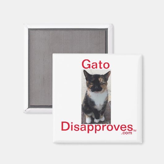 Magneet, Gato keurt af Magneet (Voorkant / Achterkant)