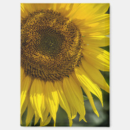 Magneet - Gele Zonnebloem