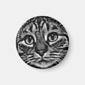 Magneet - General Tso, Zwart en Wit