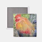 Magneet - Haan/Kip Kunst (Voorkant / Achterkant)