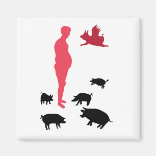 Magneet Happy Meal Vegeterian