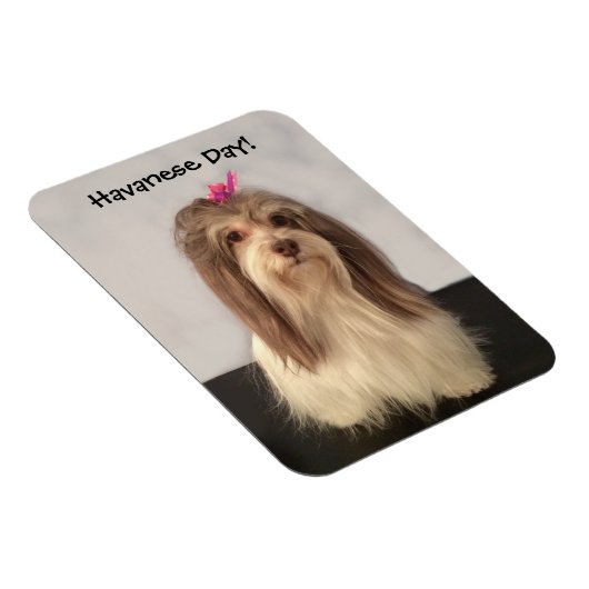 Magneet, HAVANESE DAY! door Nancy Lee Garrett Magneet (Rechterzijde)