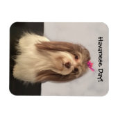 Magneet, HAVANESE DAY! door Nancy Lee Garrett Magneet (Horizontaal)