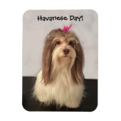 Magneet, HAVANESE DAY! door Nancy Lee Garrett Magneet (Verticaal)