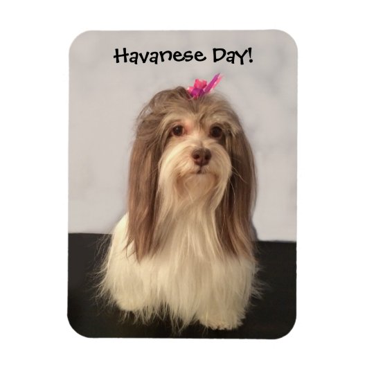 Magneet, HAVANESE DAY! door Nancy Lee Garrett Magneet (Verticaal)