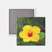 Magneet, Hawaïaanse Gele Hibiscus Magneet (Voorkant / Achterkant)