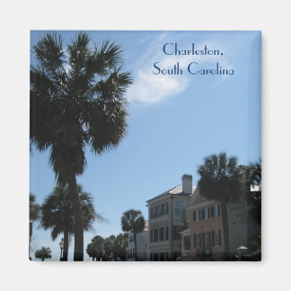 Magneet ~ Historisch centrum Charleston