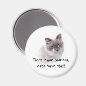 Magneet - Honden hebben eigenaren, katten hebben p (Voorkant / Achterkant)