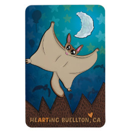 Magneet - hoog vliegen