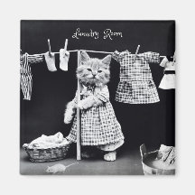 Magneet, Kat die Wasserij hangt